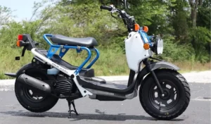 2023 honda ruckus