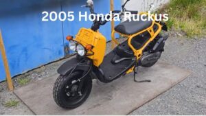 2005 Honda Ruckus