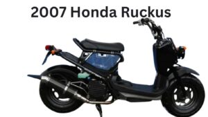 2007 honda ruckus