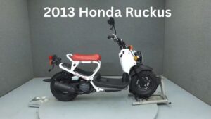 2013 Honda Ruckus