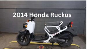 2014 honda ruckus