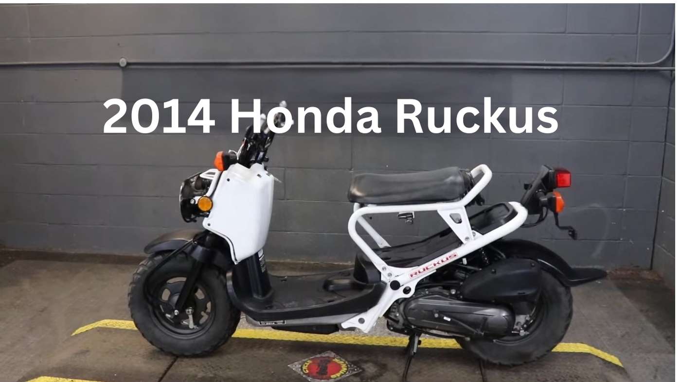 2014 honda ruckus