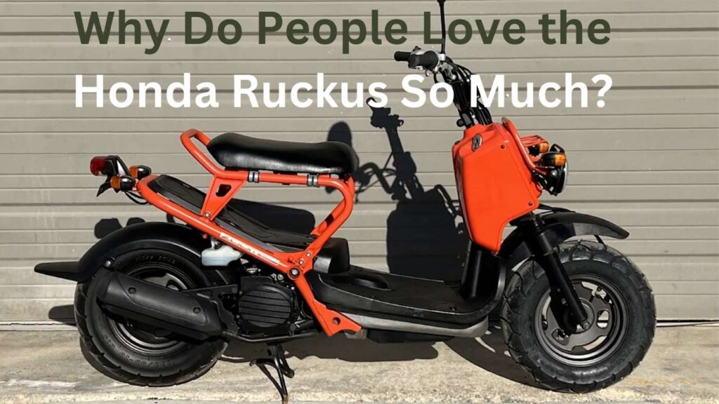 Why Do People Love the Honda Ruckus So Much?