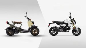 Honda Ruckus vs Honda Grom