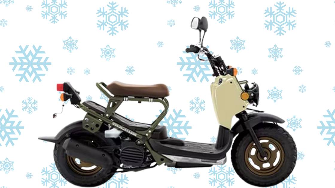 honda ruckus winter storage