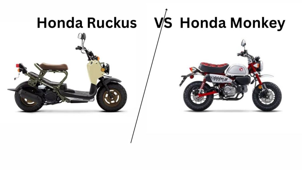 honda ruckus vs honda monkey