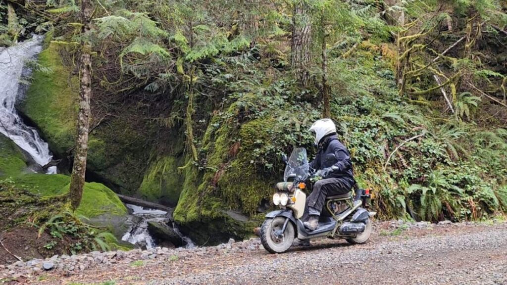 honda ruckus off-road adventure