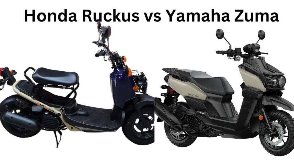 honda ruckus vs yamaha zuma