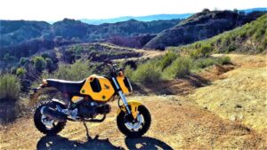 honda grom adventure