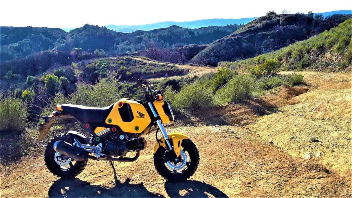 honda grom adventure